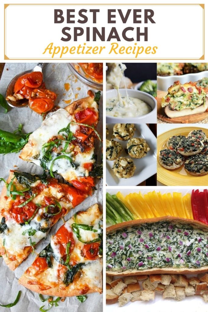 The Best Ever Spinach Appetizers