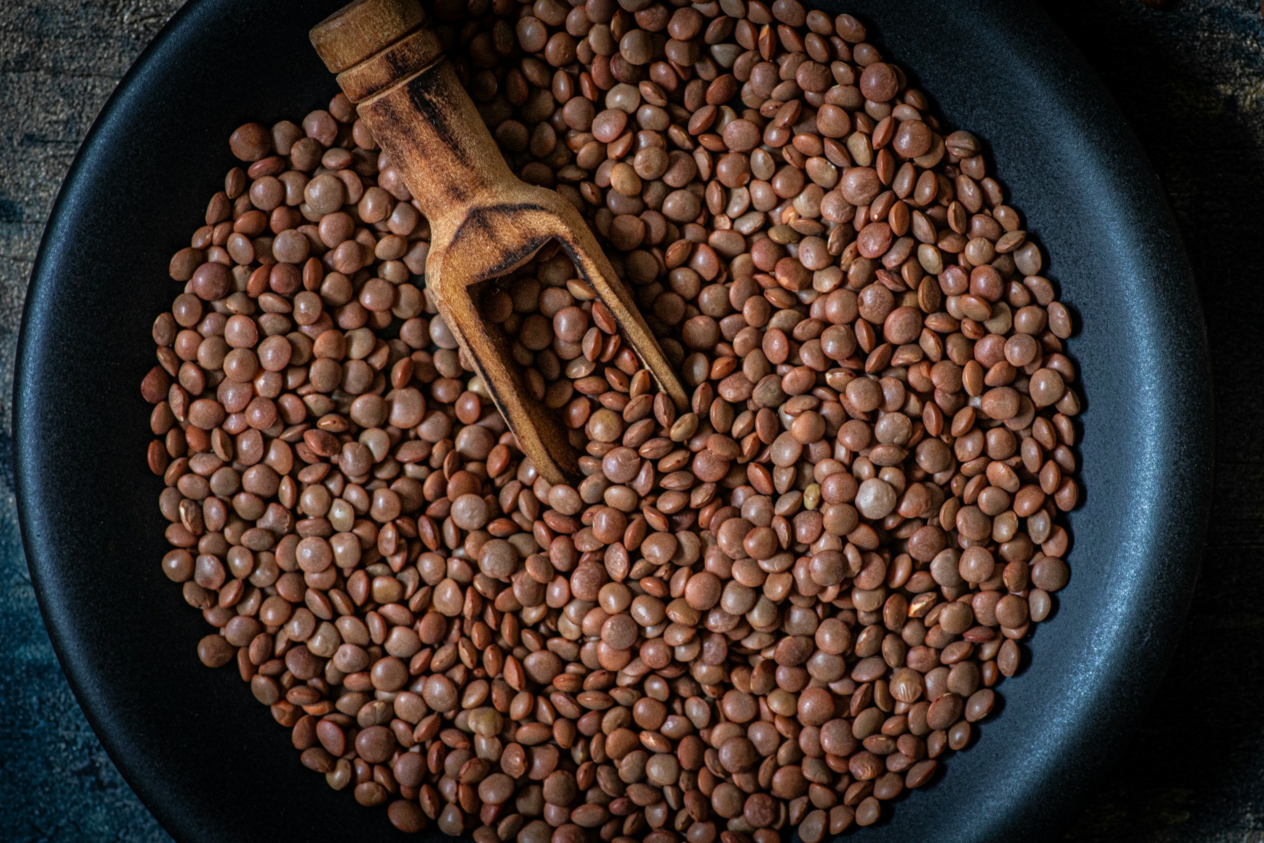 A plate of brown lentils, a staple for easy vegan dinners for beginners